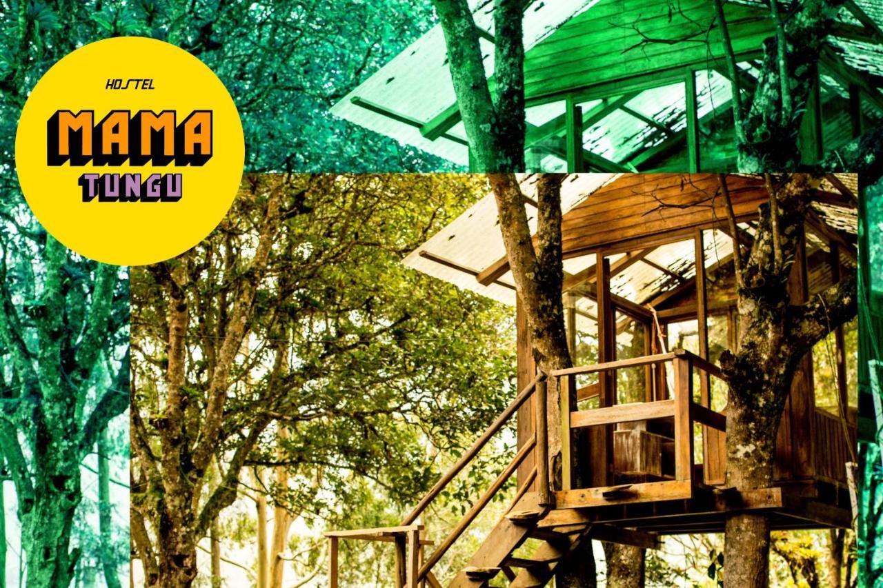 Mama Tungu Hostel Baños Екстериор снимка